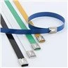 PVC COATED STAINLESS STEEL CABLE TIES-BALL LOCK TYPE3
