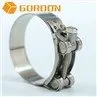 Strong hose clamp5
